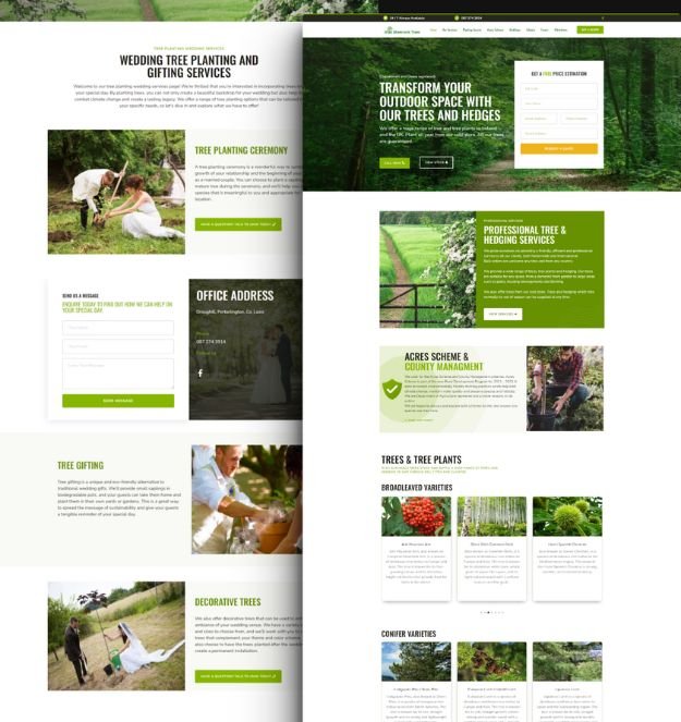 Web design services Laois, Irish Shamrock Trees